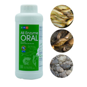 ALL ENZYME ORAL