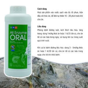 ALL ENZYME ORAL