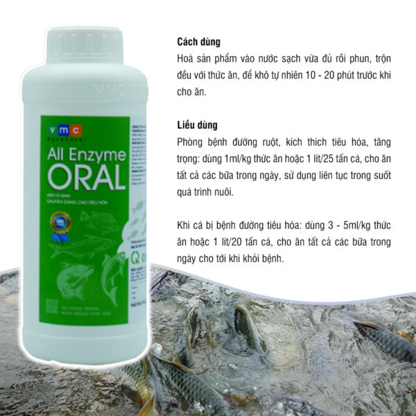 ALL ENZYME ORAL