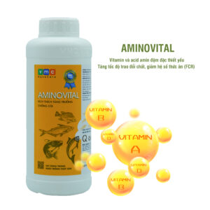 AMINOVITAL