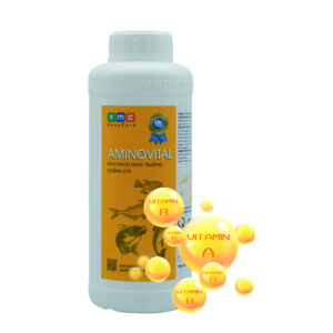 AMINOVITAL