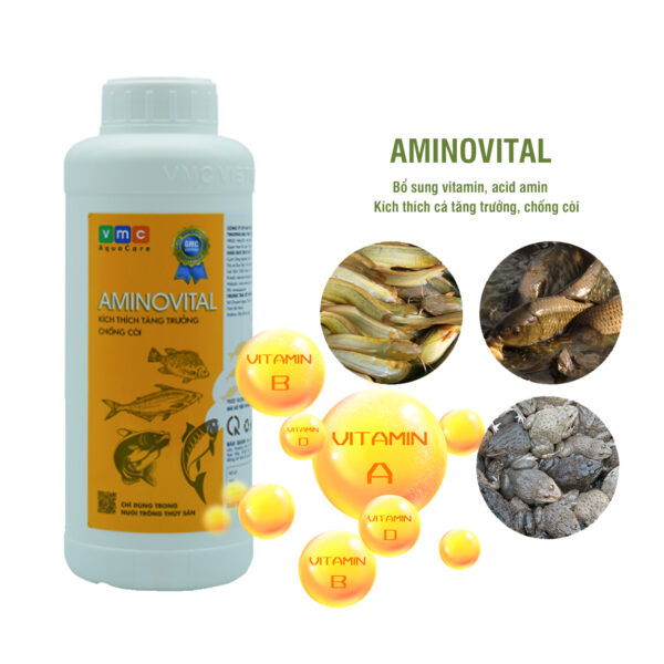 AMINOVITAL