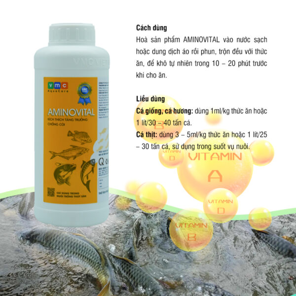 AMINOVITAL