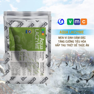 Men vi sinh đậm đặc