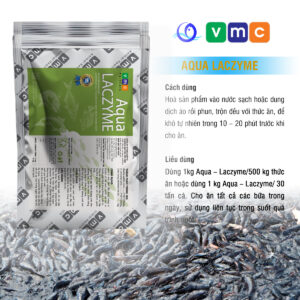 Men vi sinh đậm đặc