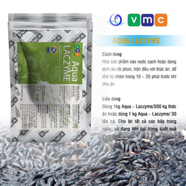 Men vi sinh đậm đặc