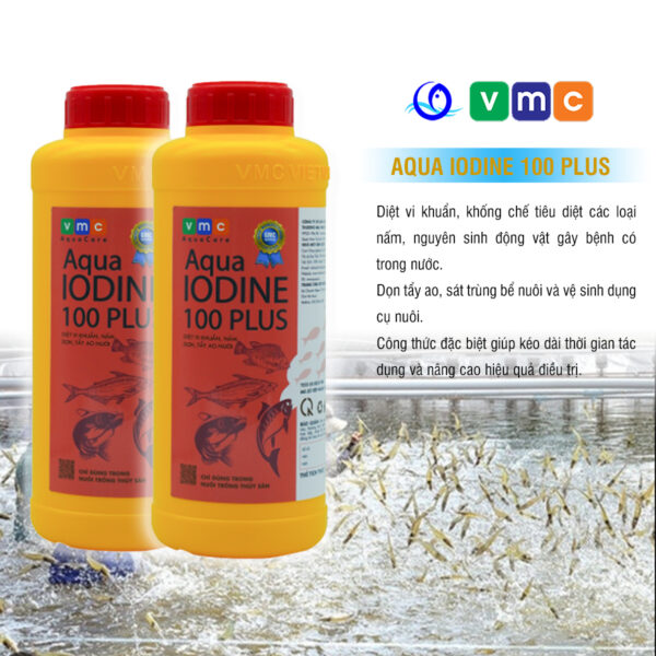 AQUA IODINE 100 PLUS