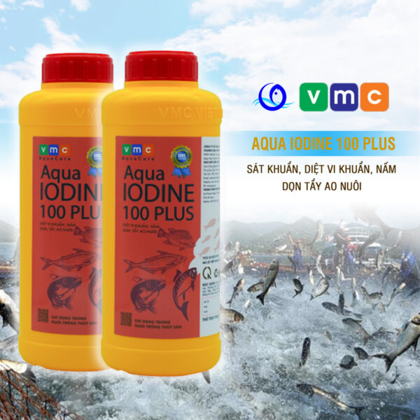 AQUA IODINE 100 PLUS