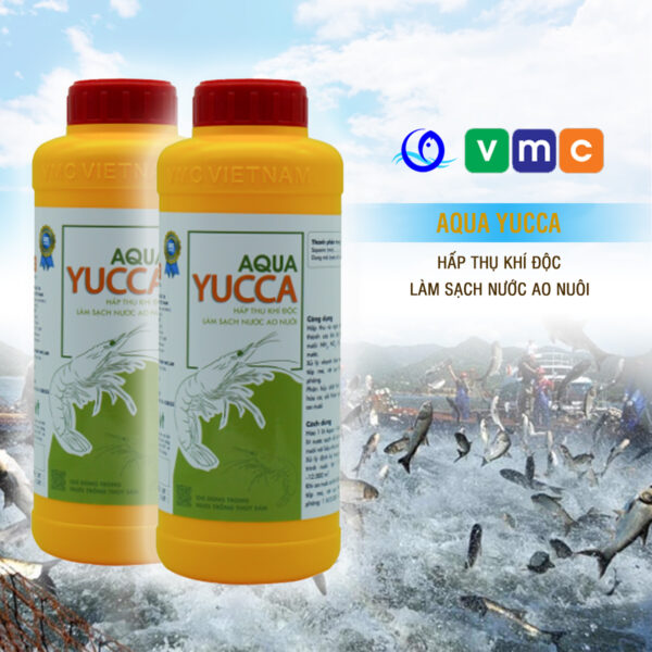 AQUA YUCCA - Hấp thụ khí độc, làm sạch môi trường nuôi