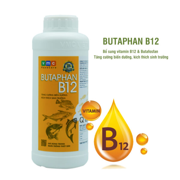 Butaphan B12