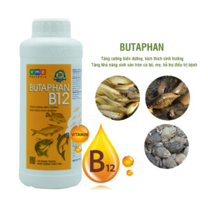 Butaphan B12