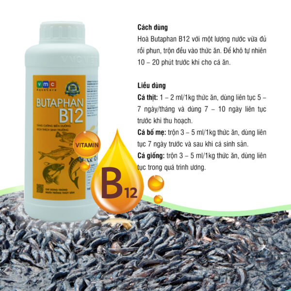 Butaphan B12