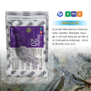 MAXFLOR 20 - Kháng sinh thủy sản