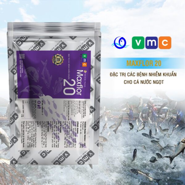 MAXFLOR 20 - Kháng sinh thủy sản