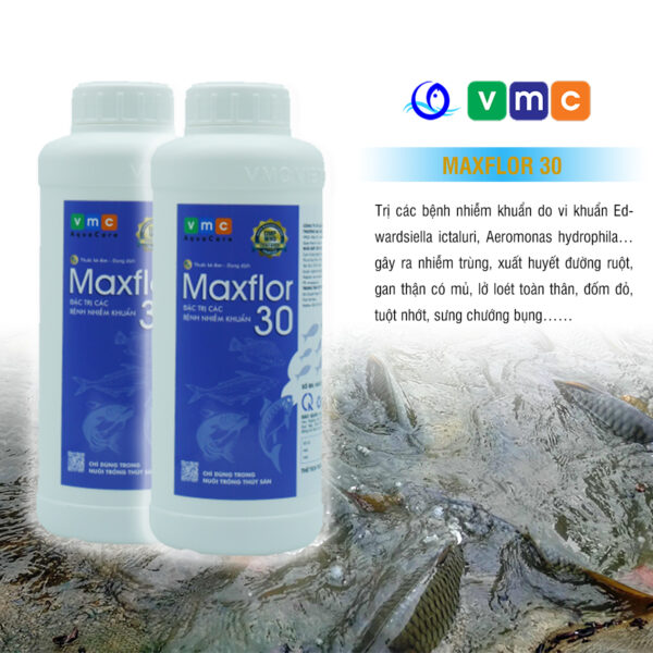 MAXFLOR 30 - Kháng sinh thủy sản