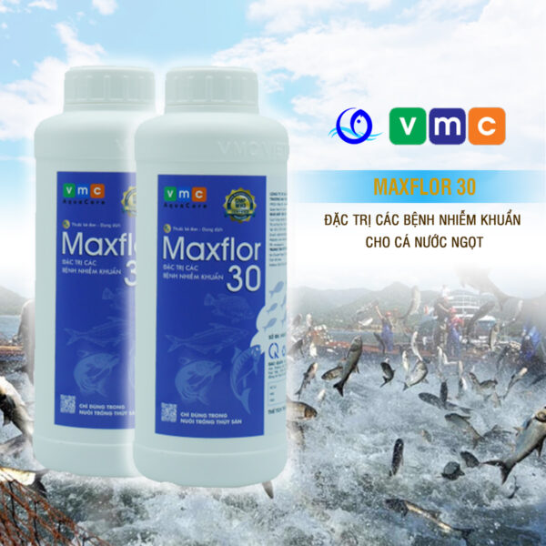 MAXFLOR 30 - Kháng sinh thủy sản