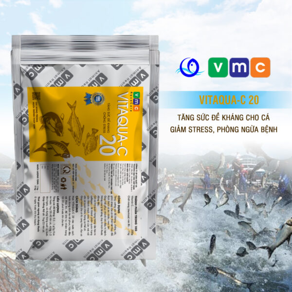Vitaqua-C 20 giảm stress, kích thích tăng trường