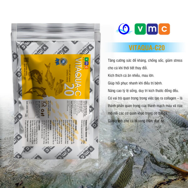 Vitaqua-C 20 giảm stress, kích thích tăng trường